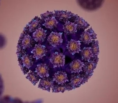 hpv-virusu-nedir-ve-nasil-bulasir